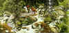 13hiddenfaces.jpg (29514 bytes)