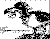 OI13a.gif (8041 bytes)