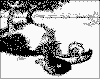 OI13b.gif (8069 bytes)