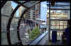 sydney3.jpg (315634 bytes)