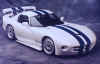 whiteviper.jpg (54464 bytes)